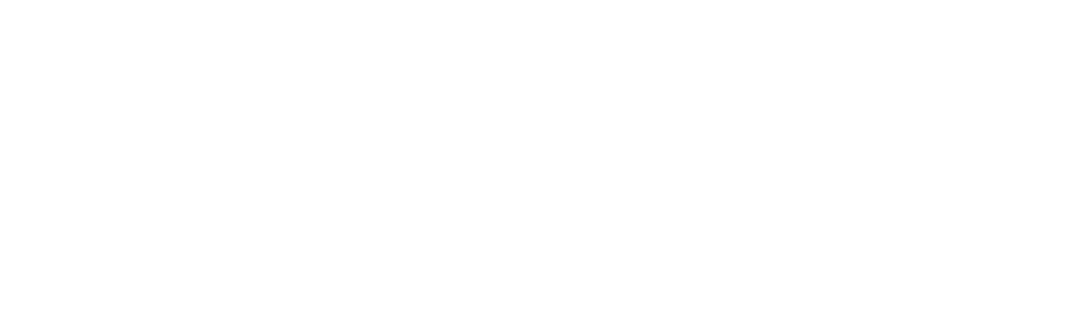 Dynamica Retail